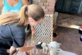 IMG-20260618-WA0010