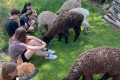 IMG-20260618-WA0018