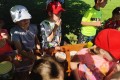 IMG_20260622_094725