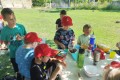 IMG_20260622_102404