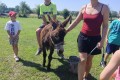 IMG_20260622_103930