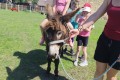 IMG_20260622_104047