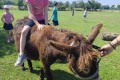 IMG_20260622_104336