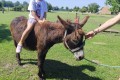 IMG_20260622_104527