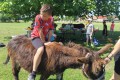 IMG_20260622_104641