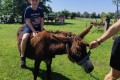 IMG_20260622_104726