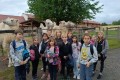 IMG20260924114025