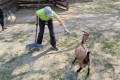 IMG_20261005_132434