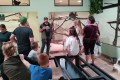 IMG_20261005_140133