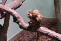 IMG_20261005_140644