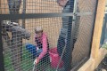IMG-20261006-WA0017