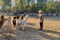 IMG_20261006_082639