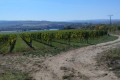 IMG_20261006_130844