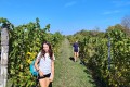 IMG_20261006_134059