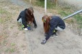 IMG_20261007_080925