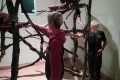 IMG_20261007_090108