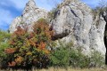 MVIMG_20261007_143132