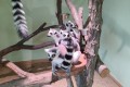 IMG_20261008_085030