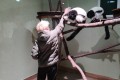 IMG_20261008_085247