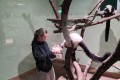 IMG_20261008_085341
