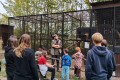 IMG_20261008_110816