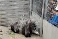 IMG_20261008_111946