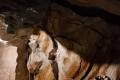 IMG_20261008_143757