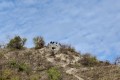 IMG_20261008_151531