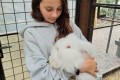IMG_20261008_164750