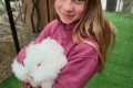 IMG_20261008_164806