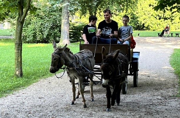 Noc v družině