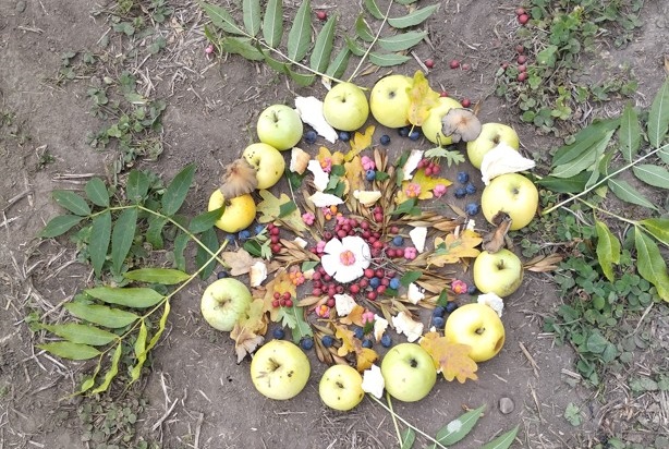 Přírodní mandaly Přírodní mandaly