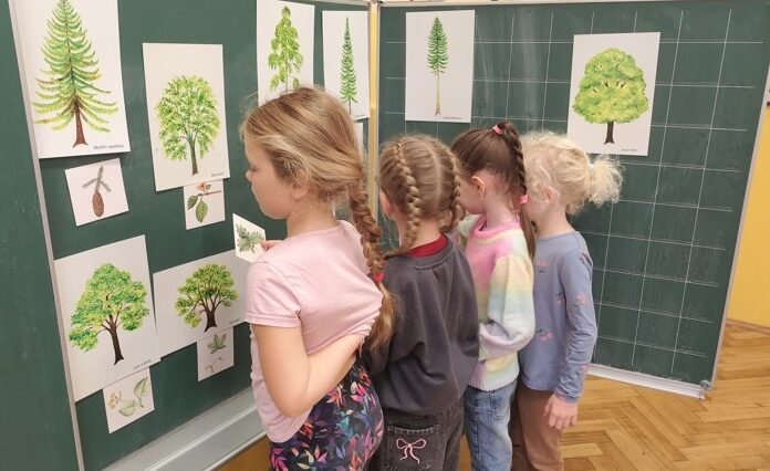 Mezinárodní den stromů Mezinárodní den stromů